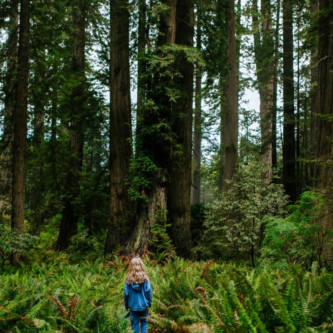 Enfant dans la forêt - Les Alizées - Alizée Pegorier - Accompagnements et ateliers pour une parentalité consciente - Cully, Lausanne