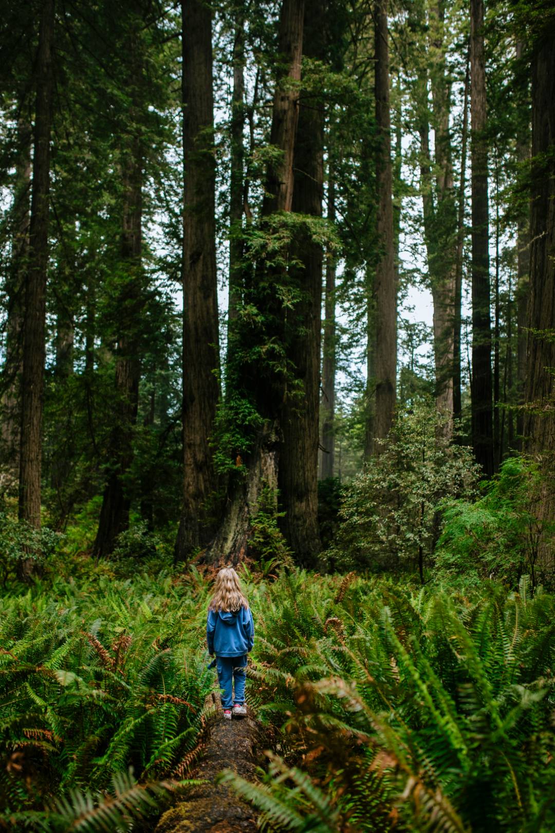 Enfant dans la forêt - Les Alizées - Alizée Pegorier - Accompagnements et ateliers pour une parentalité consciente - Cully, Lausanne